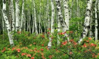 世界登山青年导师长期观察数据库新增纵向数据集