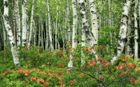 世界登山青年导师长期观察数据库新增纵向数据集