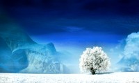 世界举重公开赛裁判培训合格名单发布，2020年世界举重比赛视频
