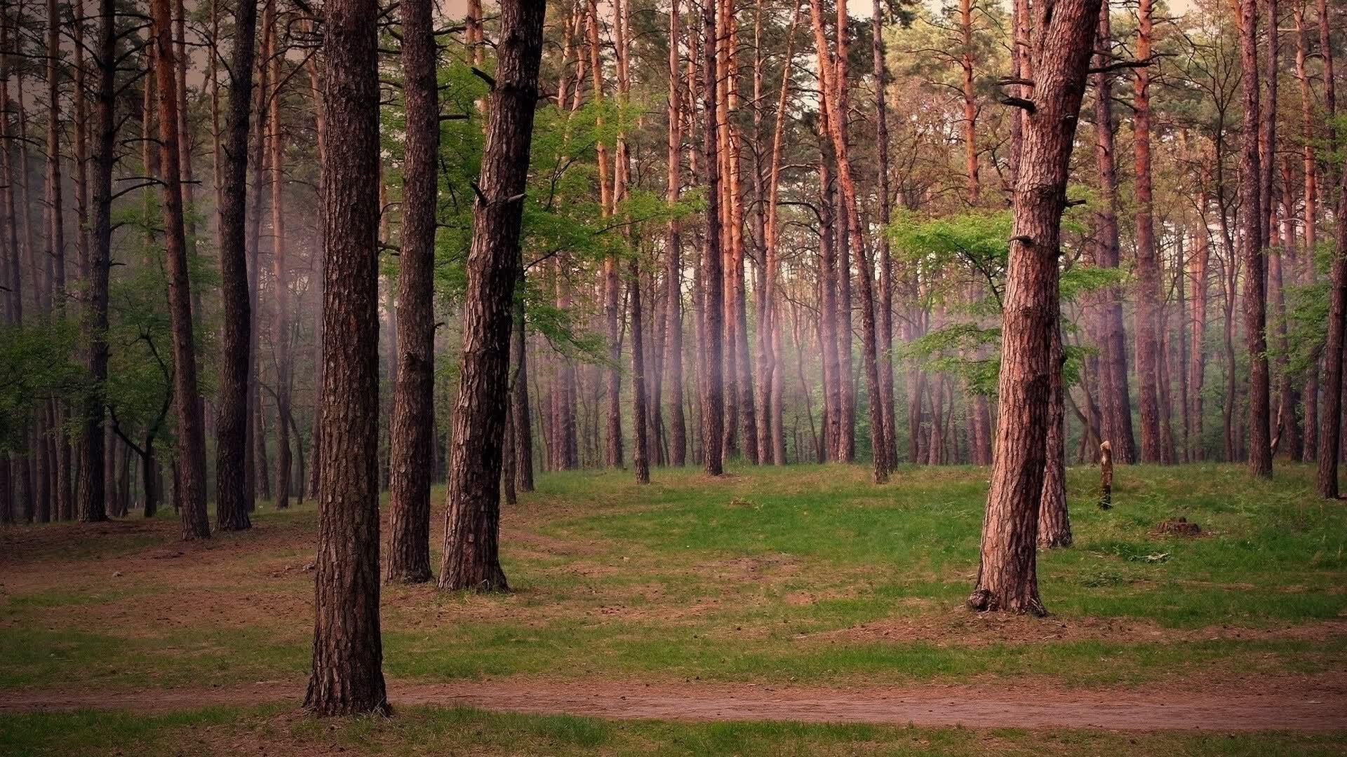 世界游艇青年赛航海知识讲座吸睛,游艇协会